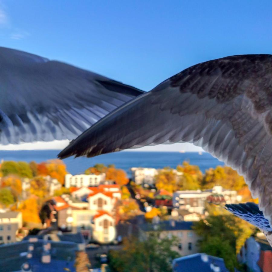 Pokoje Przy Plazy Z Widokiem Na Morze Daire Sopot Dış mekan fotoğraf