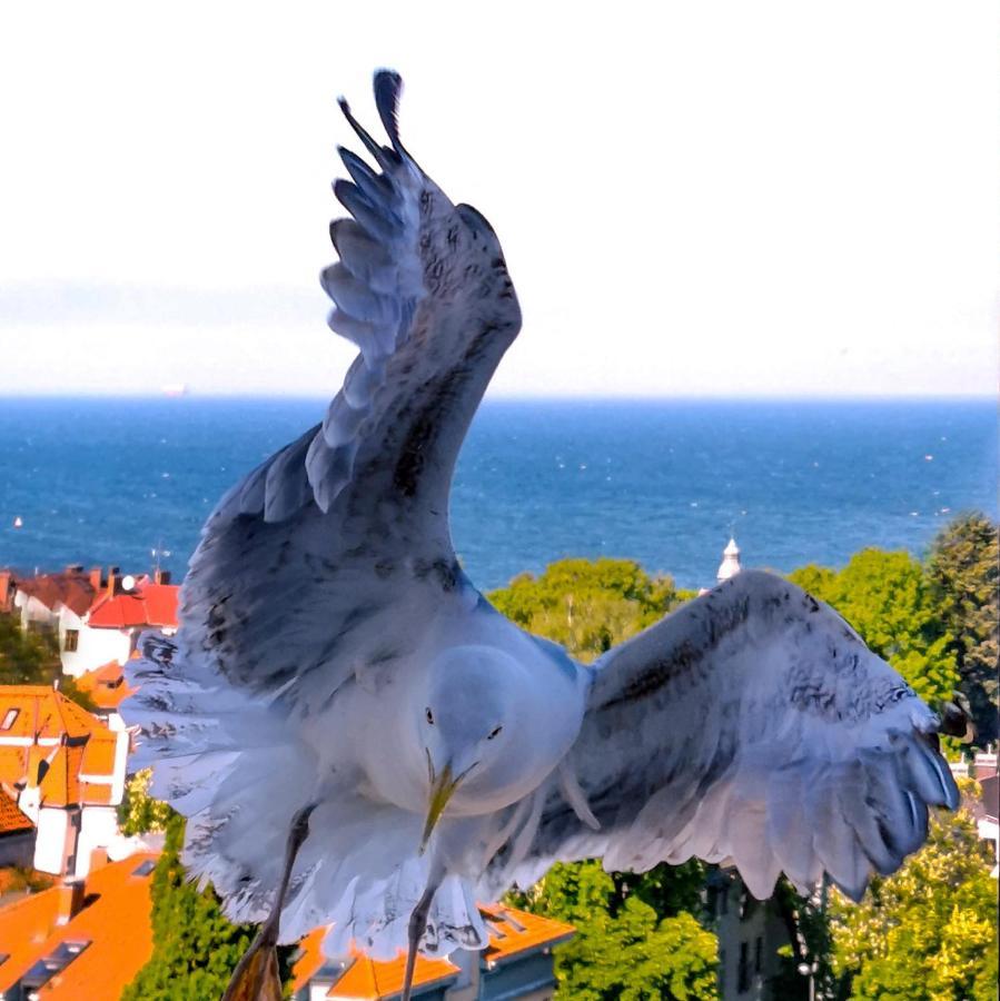 Pokoje Przy Plazy Z Widokiem Na Morze Sopot Dış mekan fotoğraf