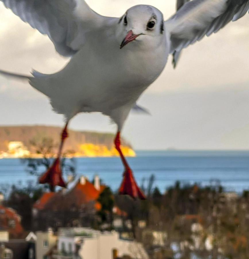 Pokoje Przy Plazy Z Widokiem Na Morze Daire Sopot Dış mekan fotoğraf