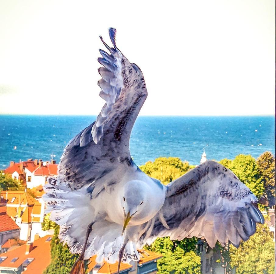 Pokoje Przy Plazy Z Widokiem Na Morze Sopot Dış mekan fotoğraf