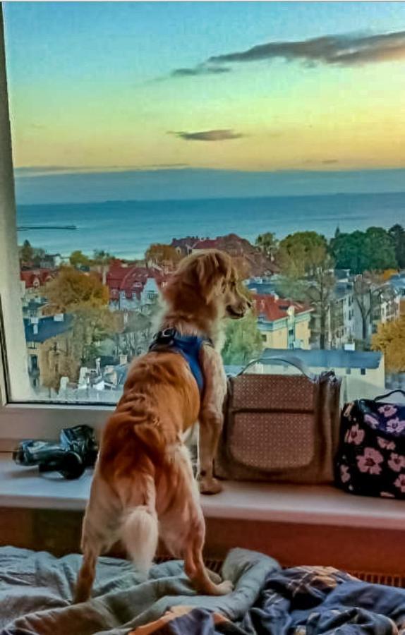 Pokoje Przy Plazy Z Widokiem Na Morze Sopot Dış mekan fotoğraf
