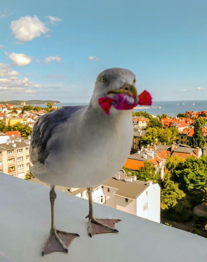 Pokoje Przy Plazy Z Widokiem Na Morze Daire Sopot Dış mekan fotoğraf