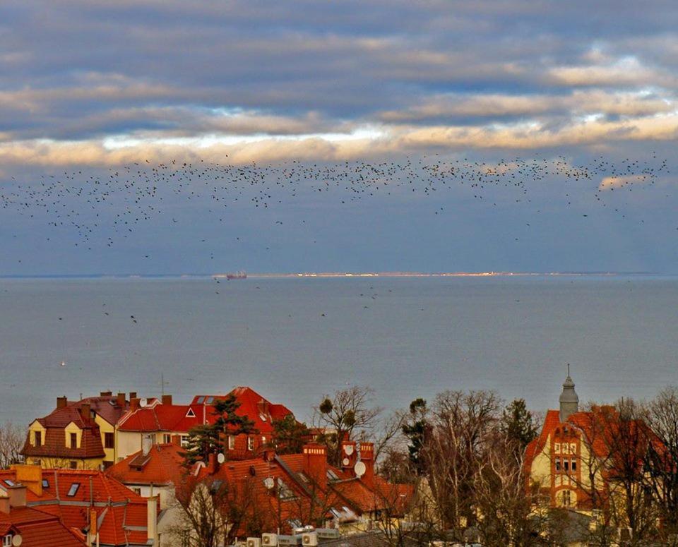 Pokoje Przy Plazy Z Widokiem Na Morze Daire Sopot Dış mekan fotoğraf