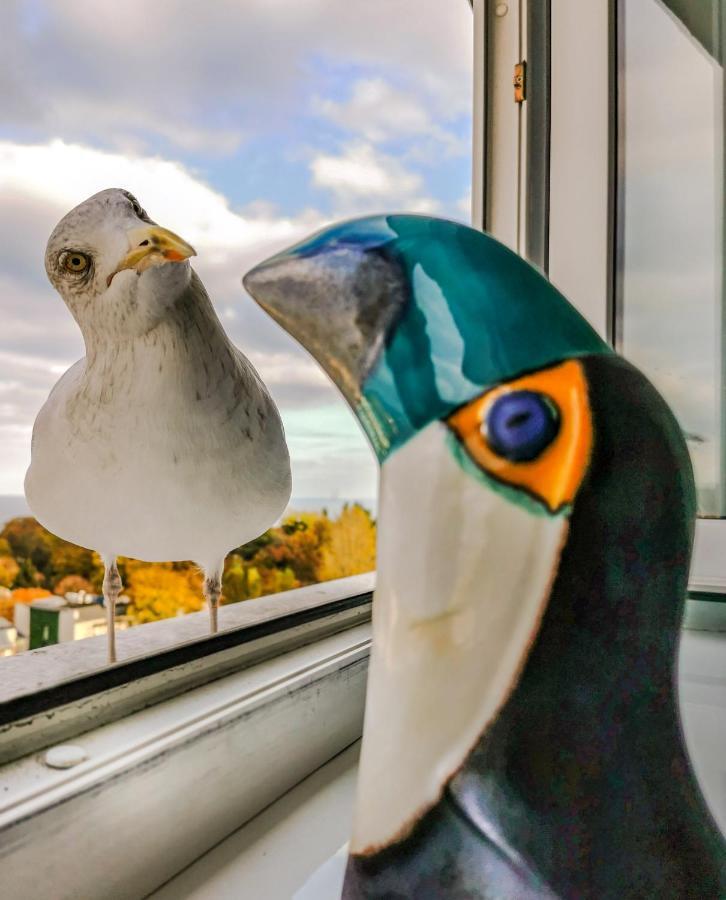 Pokoje Przy Plazy Z Widokiem Na Morze Daire Sopot Dış mekan fotoğraf